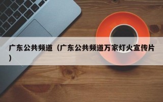 广东公共频道（广东公共频道万家灯火宣传片）