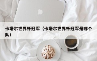 卡塔尔世界杯冠军（卡塔尔世界杯冠军是哪个队）