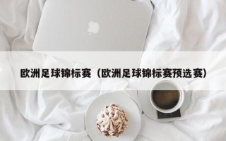 欧洲足球锦标赛（欧洲足球锦标赛预选赛）