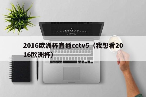 2016欧洲杯直播cctv5（我想看2016欧洲杯）