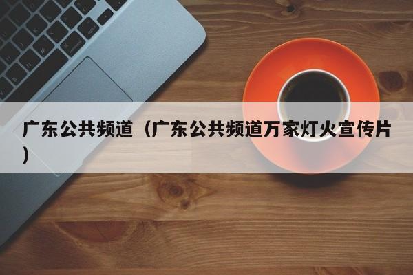 广东公共频道（广东公共频道万家灯火宣传片）